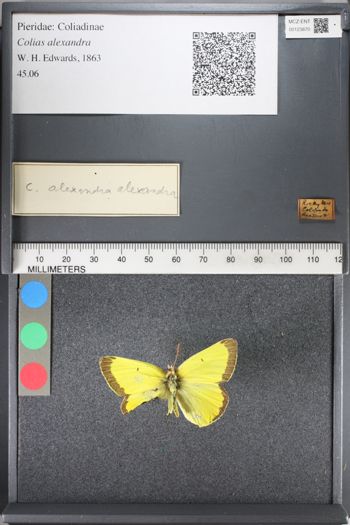 Media type: image;   Entomology 123870
